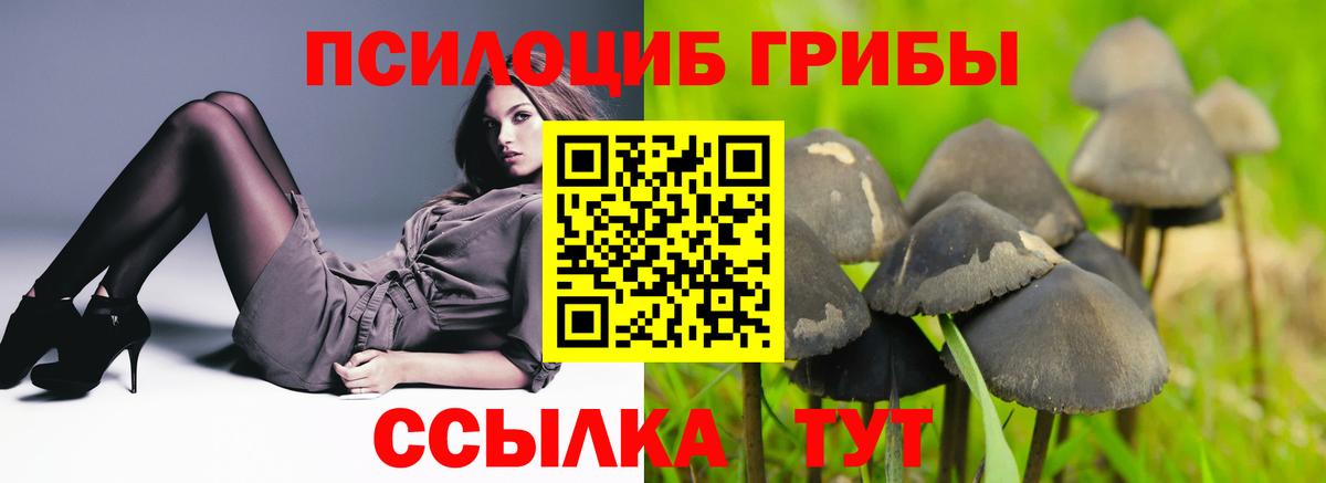 Галлюциногенные грибы мухоморы Рязань